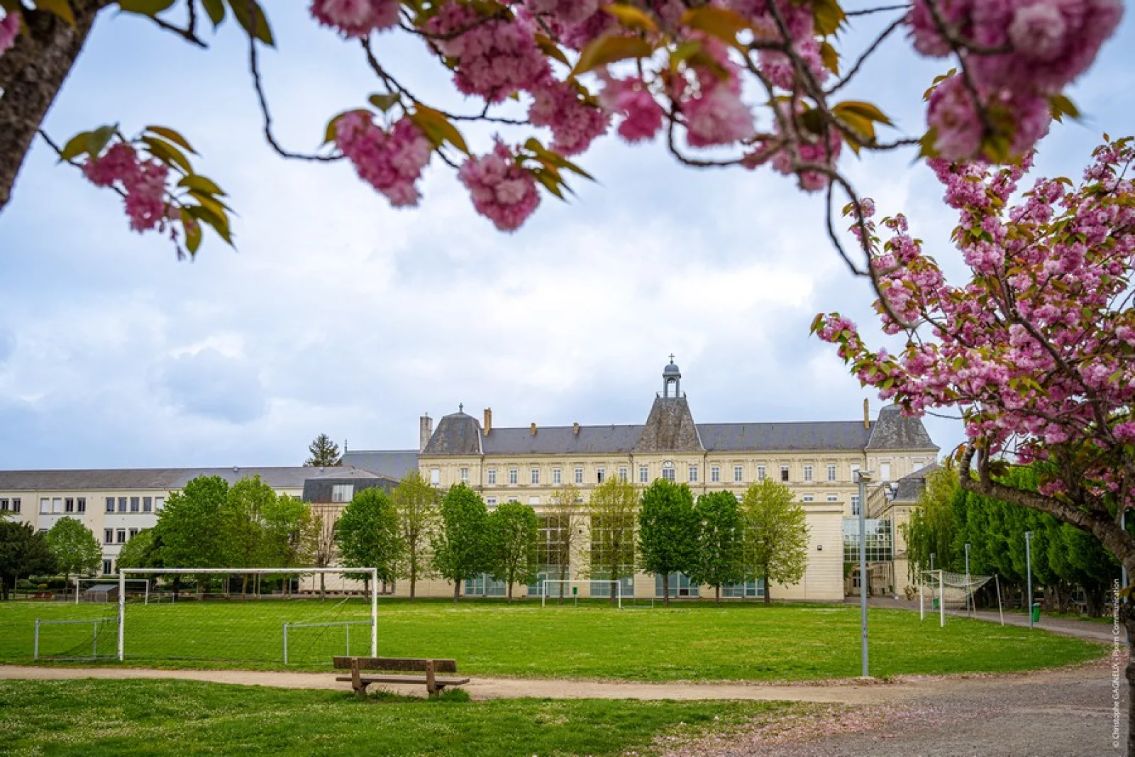 圣路易高中校园景观 31